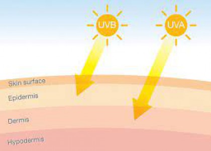 Protect your skin and avoid damage from the sun's UVA and UVB rays